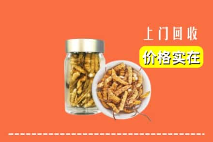 开封祥符区回收散虫草