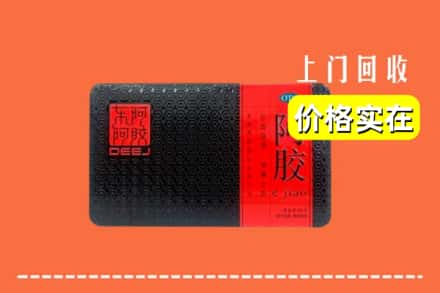 开封祥符区回收阿胶
