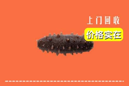 开封祥符区回收海参