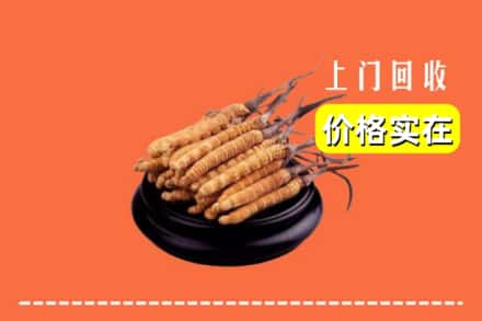 开封祥符区回收冬虫夏草