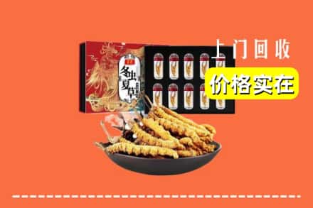 开封祥符区回收虫草